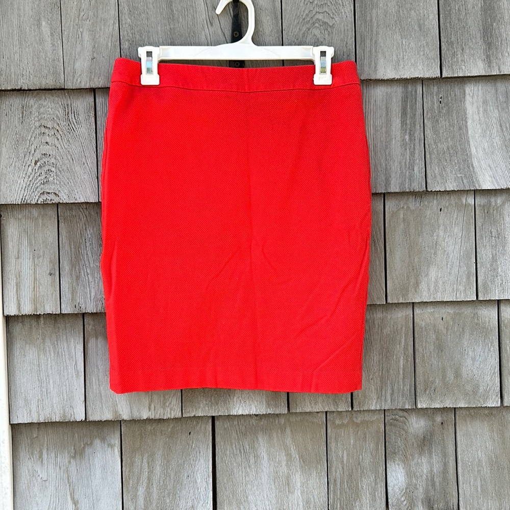 Darjoni Pencil Skirt